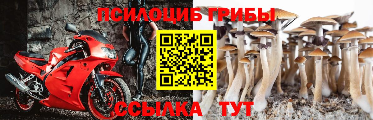 Похвистнево  Галлюциногенные грибы Cubensis  Вход с VPN 